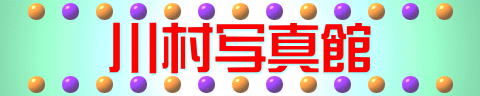 쑺ʐ^
