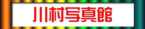 �쑺�ʐ^��